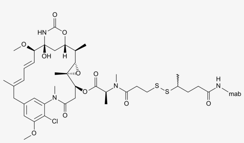 Lorvotuzumab Mertansine, transparent png #2919457