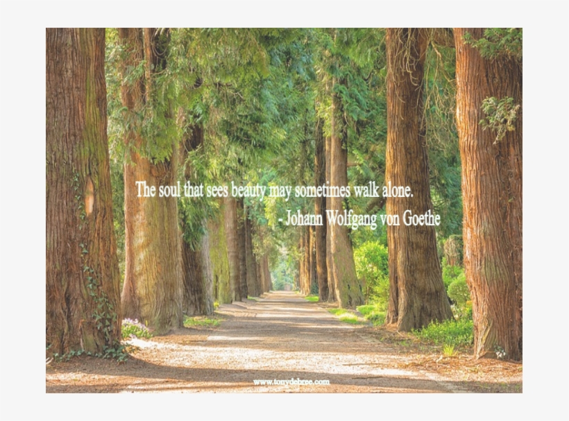 0 Replies 0 Retweets 0 Likes - Acer Iconia Tab 11.6" Full Hd Wifi Tablet Intel I5-3337u, transparent png #2919507