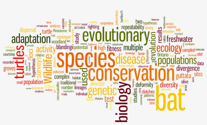 Conservation Biology, Molecular Ecology And Population - Words, transparent png #2919513