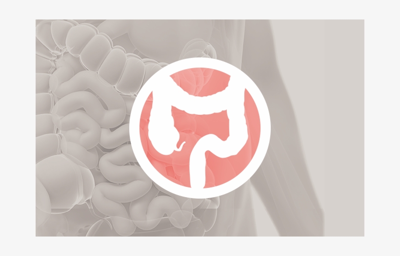 Colon/anorectal Surgery - Surgery, transparent png #2920319