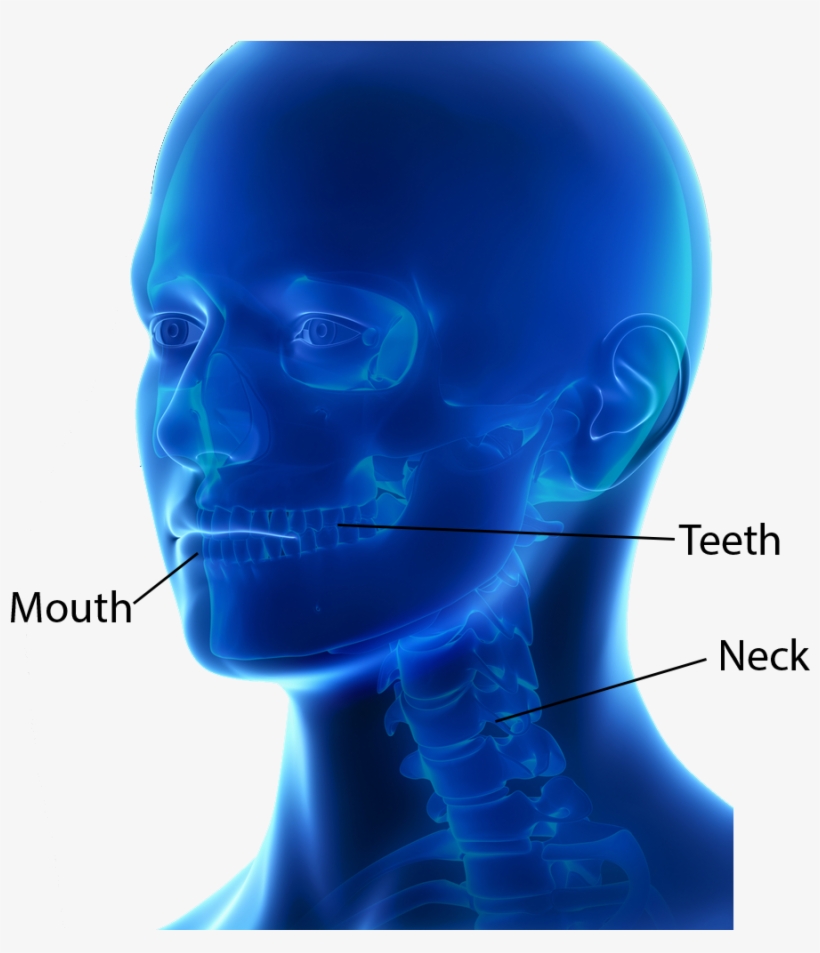 Dental And Oromaxillofacial Surgery - Surgery, transparent png #2920438