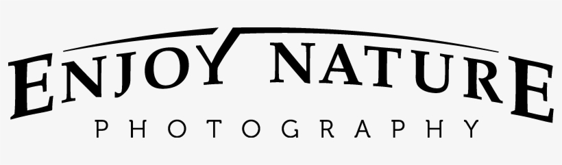 Fireworks - Logo, transparent png #2921627