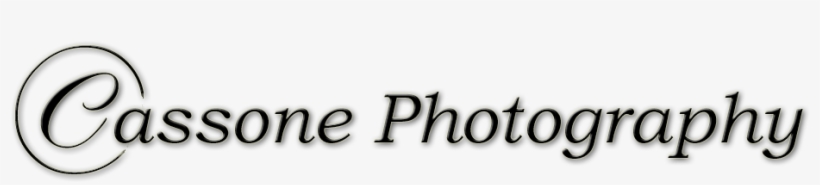 Cassone Photography - Photography, transparent png #2921879