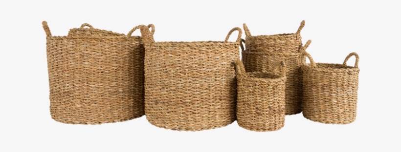 Gold Leaf Cattail Basket - Basket, transparent png #2922150