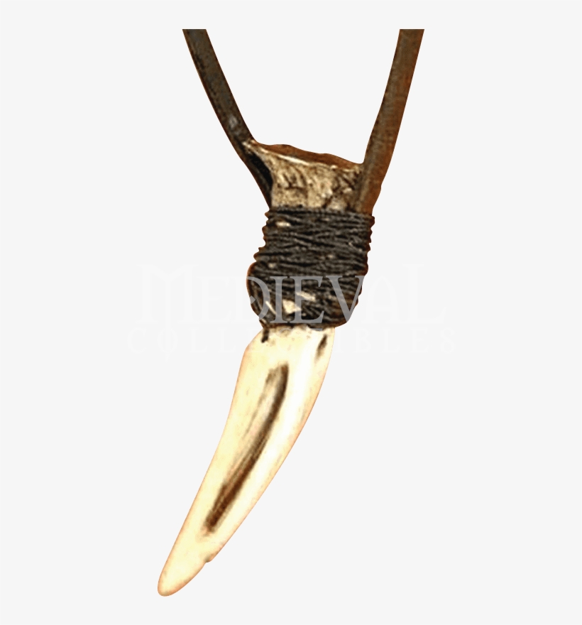 Wish Brave Man Wolf Tooth Necklace Domineering Courage - Wolf Tooth Necklace, transparent png #2922305