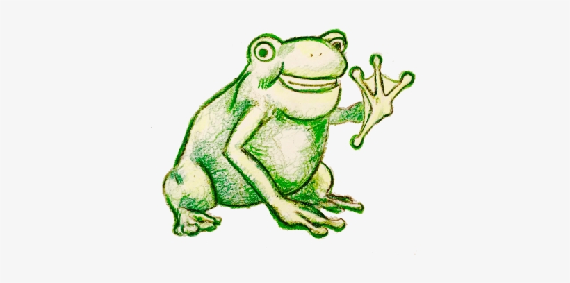 Attachment - Pine Barrens Treefrog, transparent png #2923315