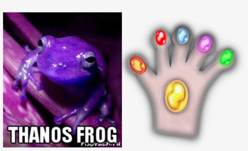 Thanos Glove Gauntlet Custom Fit For Frog Fingers Imgur - Purple Frog, transparent png #2923346