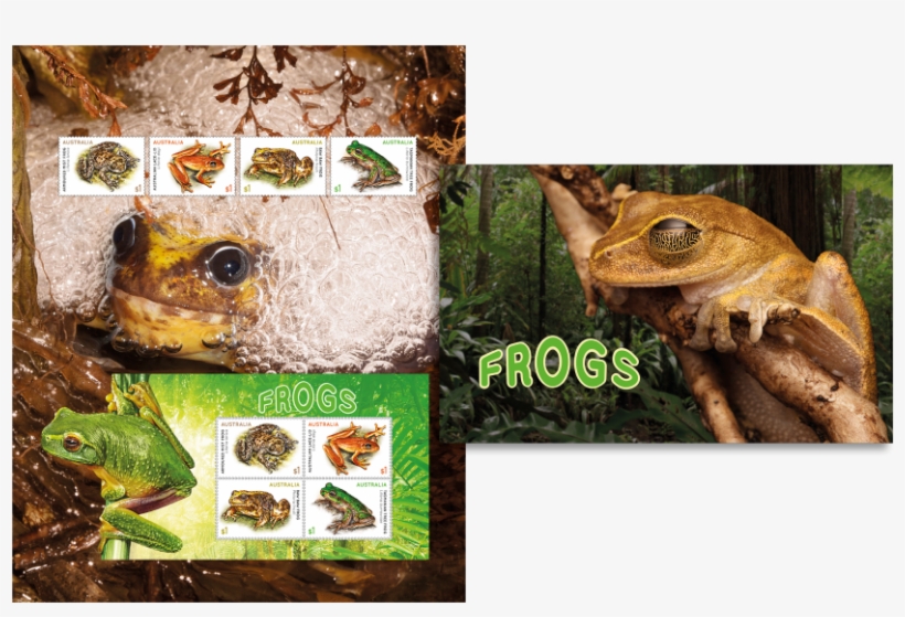 Stamp Pack Stamp Pack - Rainforests By Mike Clark 9781786371683 (hardback), transparent png #2923499