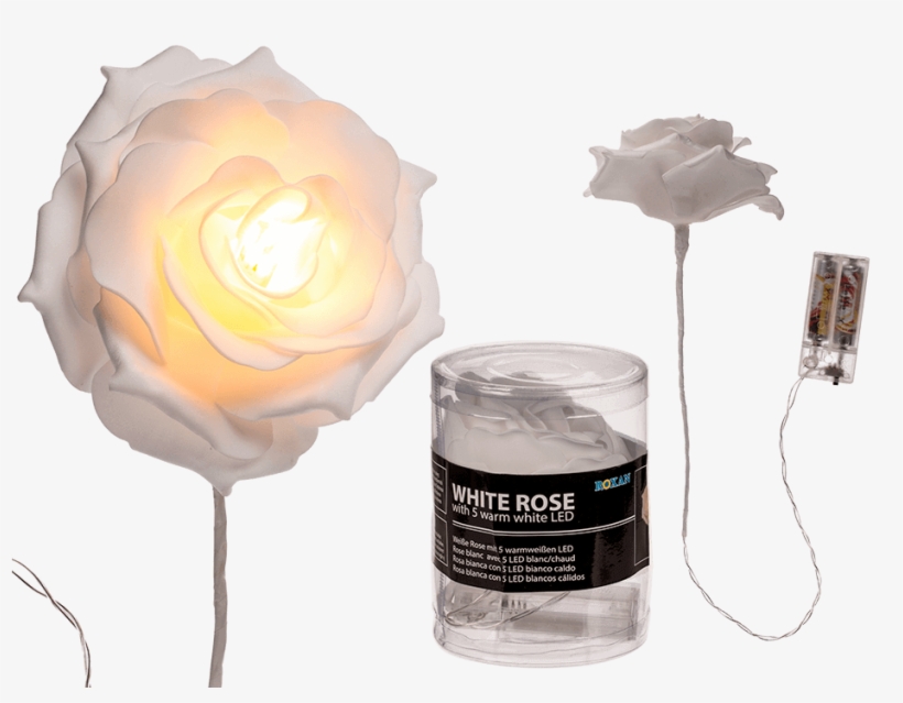 Garden Roses, transparent png #2923898