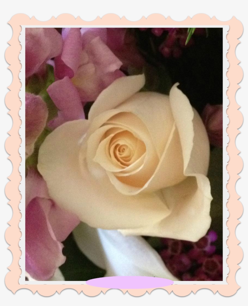 Navegación De Entradas - Rosa Blanca Y Feliz Cumpleaños, transparent png #2923958