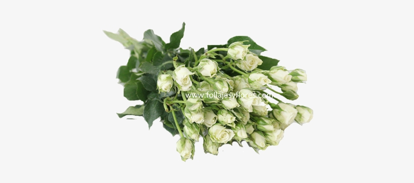 Entregas - Mexico City, transparent png #2924236