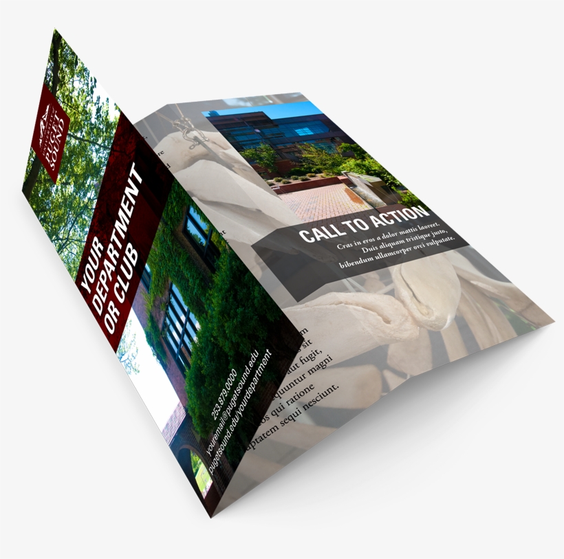 Brochures - Brochure, transparent png #2924290