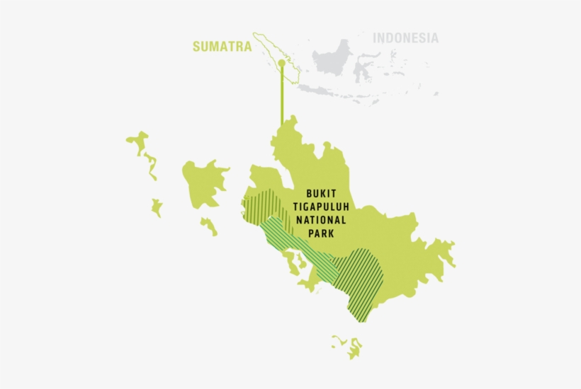 Remaining Forest In Thirty Hills - Atlas, transparent png #2924395