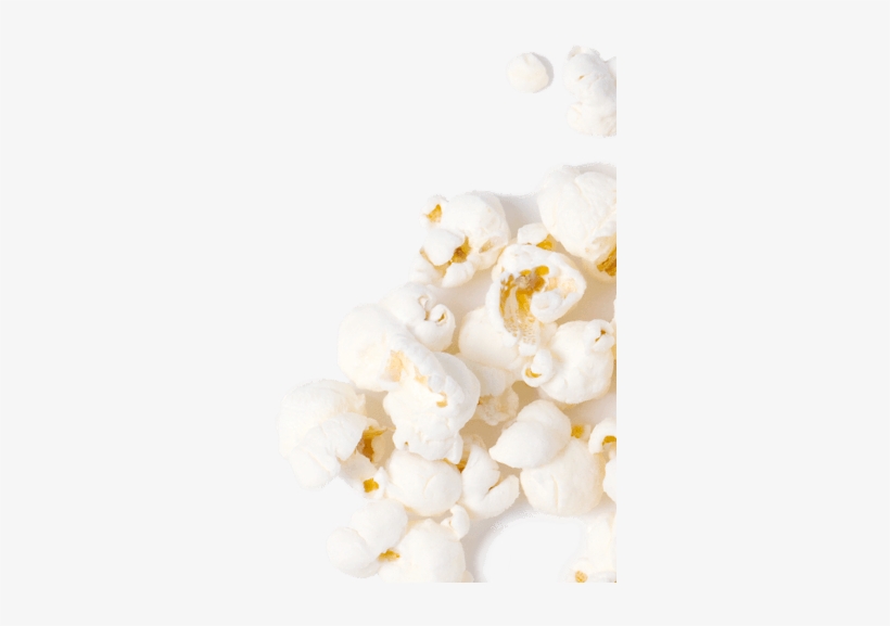 Products - Lily Of The Valley, transparent png #2925301