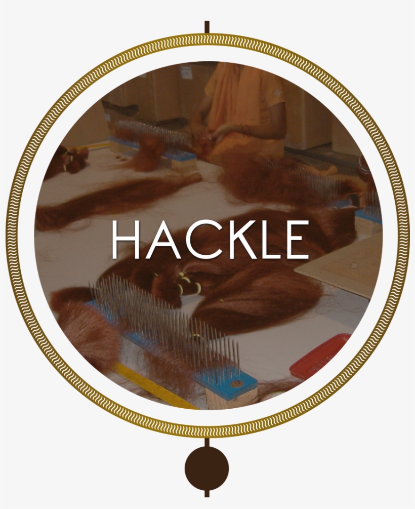 Hair Is Hackled Into 500g Bundles Of Equal Length And - Genetic Map Of E Coli, transparent png #2925546