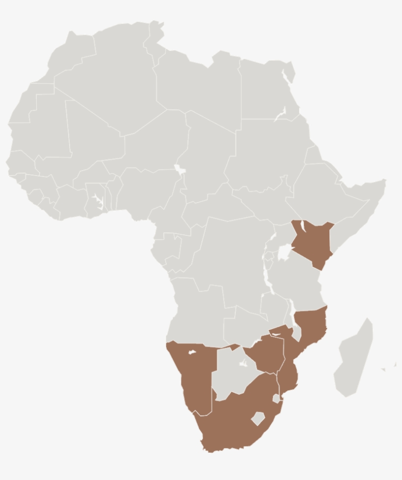 Africa Compton, transparent png #2926302