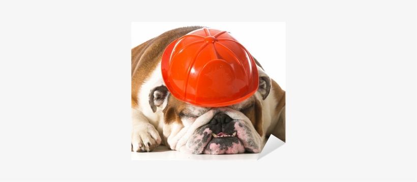 Bulldog Fireman, transparent png #2926717