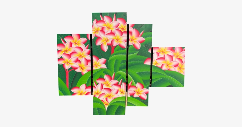 Panel Plumeria Flower Painting - Frangipani, transparent png #2927394