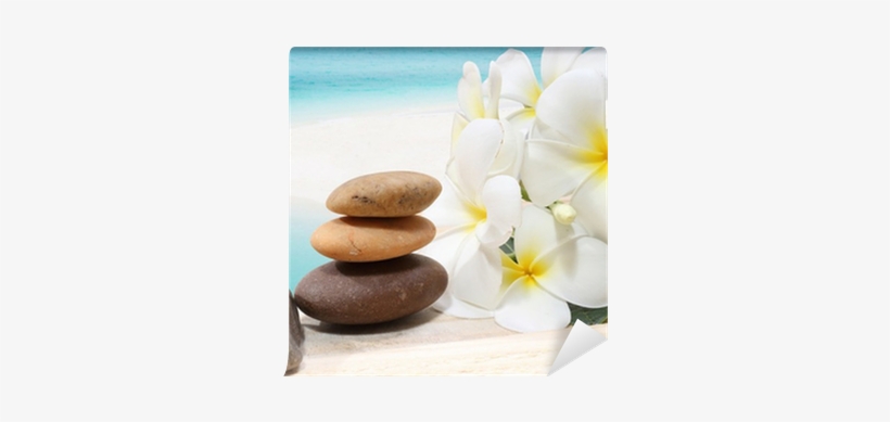 Zen Spa Concept Background - Pedras De Massagem E Flores, transparent png #2927752