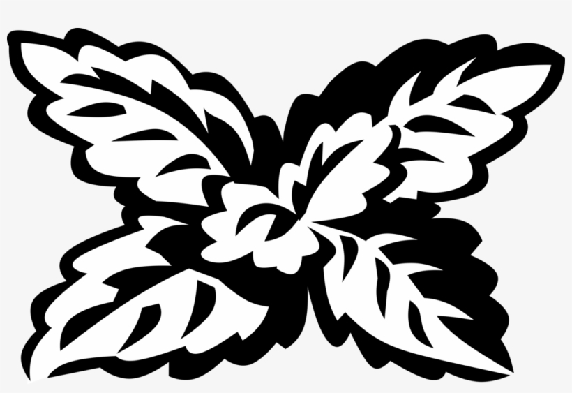 Vector Illustration Of Lemon Balm Perennial Herbaceous - Lemon Balm, transparent png #2927755