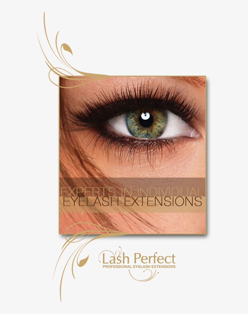 Lash Perfect, transparent png #2928462