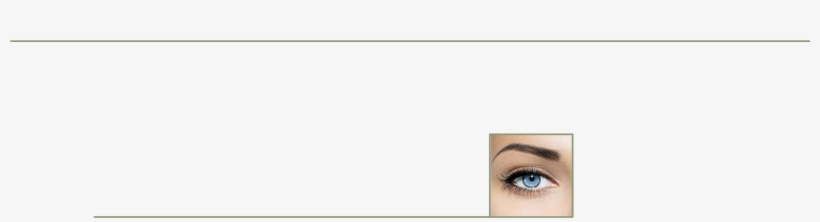 Eyelash Training - Connecticut, transparent png #2928529