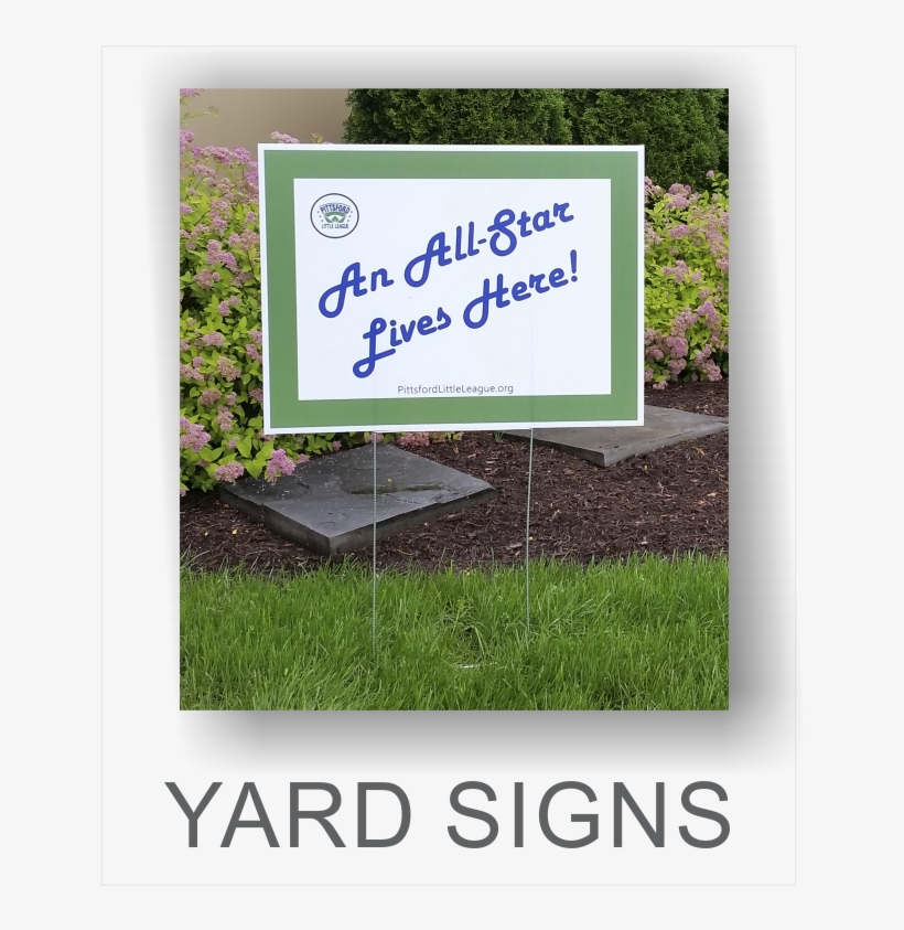 From Political Posters To Event Signs And For Anyone - Study In Shadows; Nook Book; Author - William Locke, transparent png #2929243