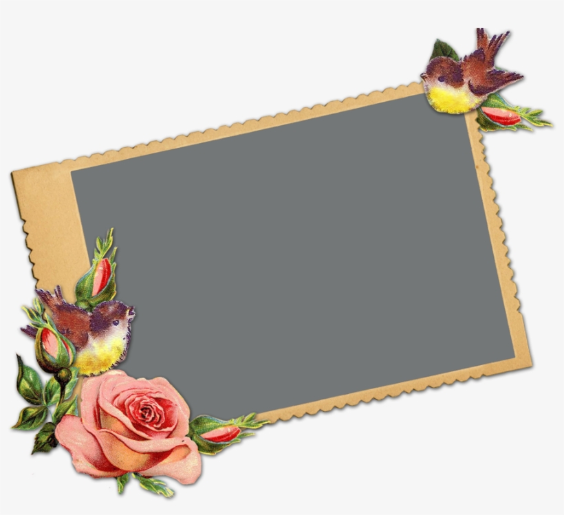 You Can Click Here To - Vintage Bird Clip Art, transparent png #2929802