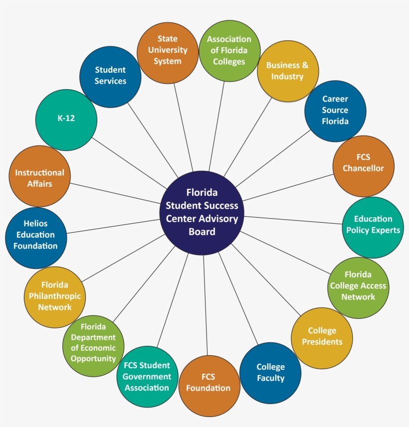 The Advisory Board Plays A Key Role In Providing Input - Hacer Un Organizador Grafico, transparent png #2929841