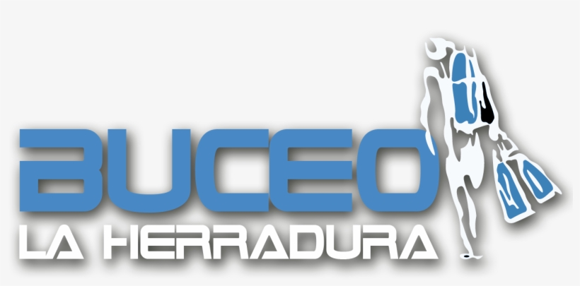 Buceo La Herradura - Diving La Herradura, transparent png #2930437