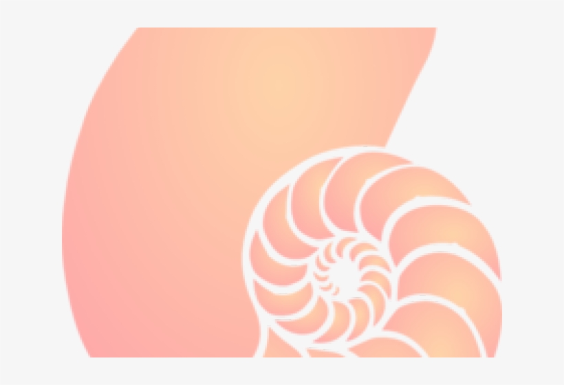 Nautilus Shell Clip Art, transparent png #2931195