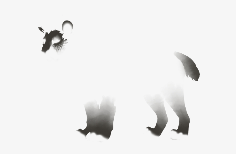 Lion, transparent png #2932328