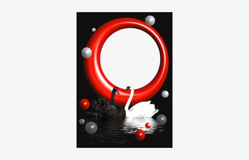 Cisnes Blancos Y Negros - German Football Association, transparent png #2933132