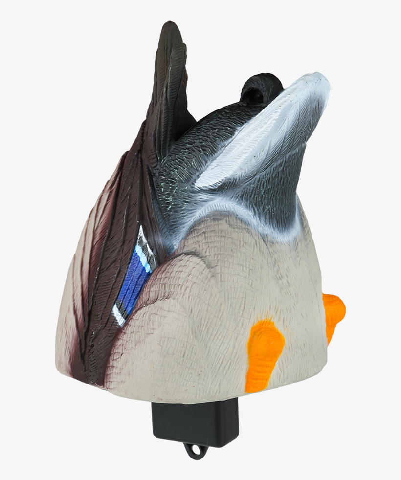 Lucky Duck Quiver Duck Butt Hd Mallard Drake - Duck Decoy, transparent png #2933253