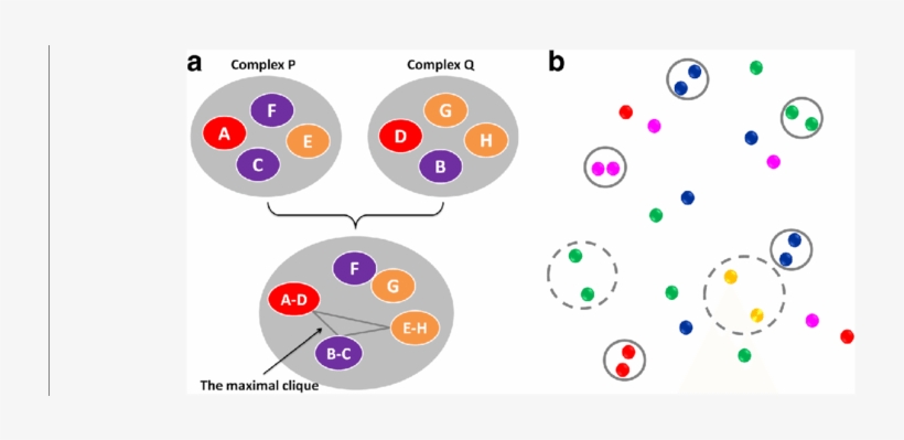 How The Interaction Fingerprints Of Two Complexes Are - Common Fig, transparent png #2933538
