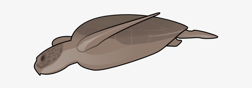 Swimming Turtle Svg Clip Arts 600 X 206 Px, transparent png #2934411