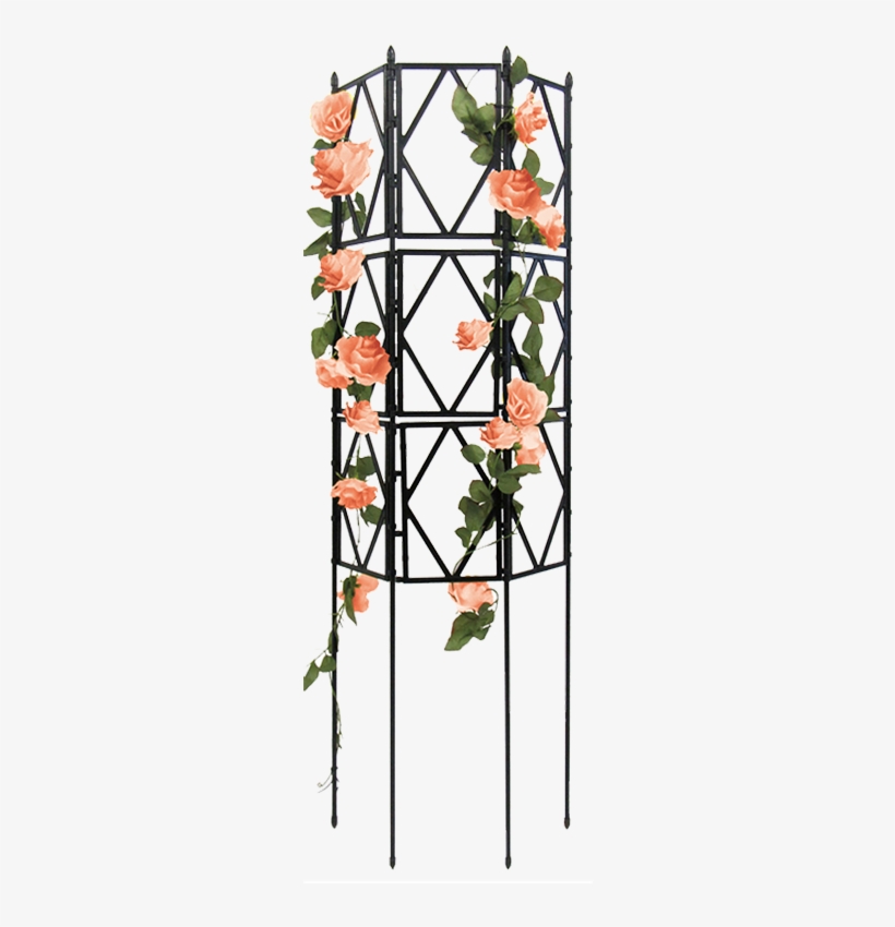 Gardening Stand Climbing Vine Plant Climbing Vines - Asian Virginsbower, transparent png #2934598