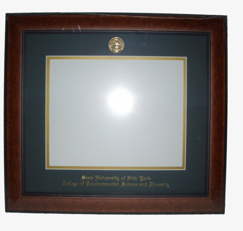 Landsdowne Diploma Frame - Diploma, transparent png #2934658