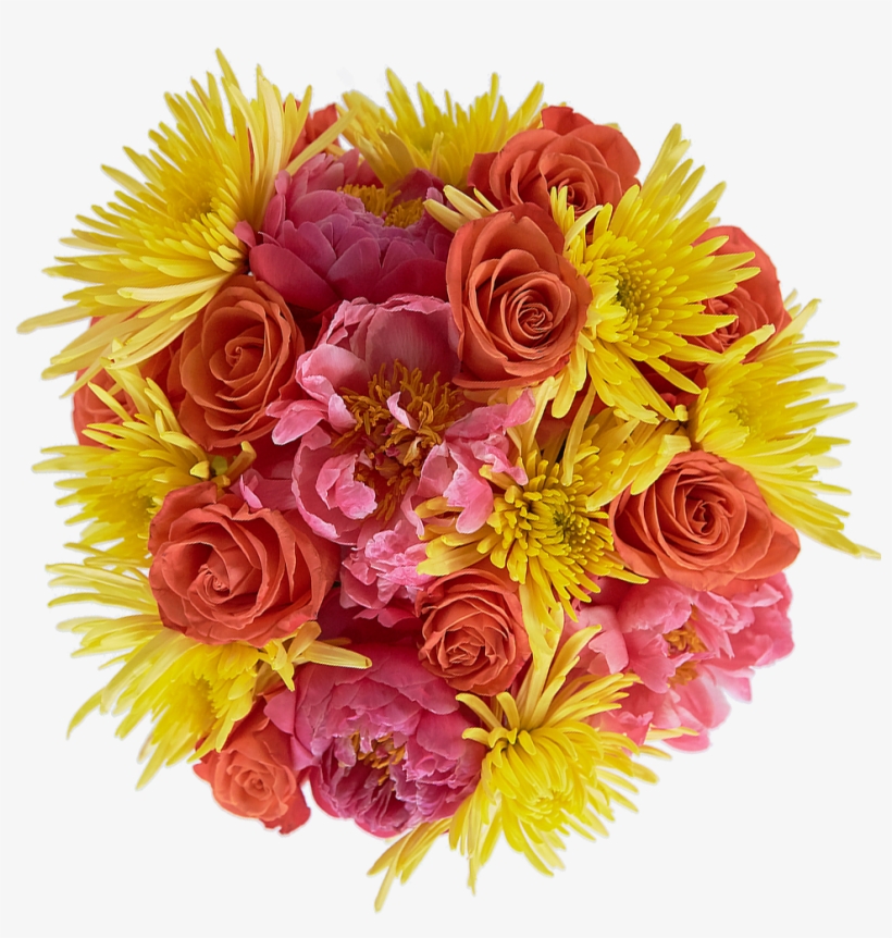 Fruity Pebbles - Floribunda, transparent png #2934802