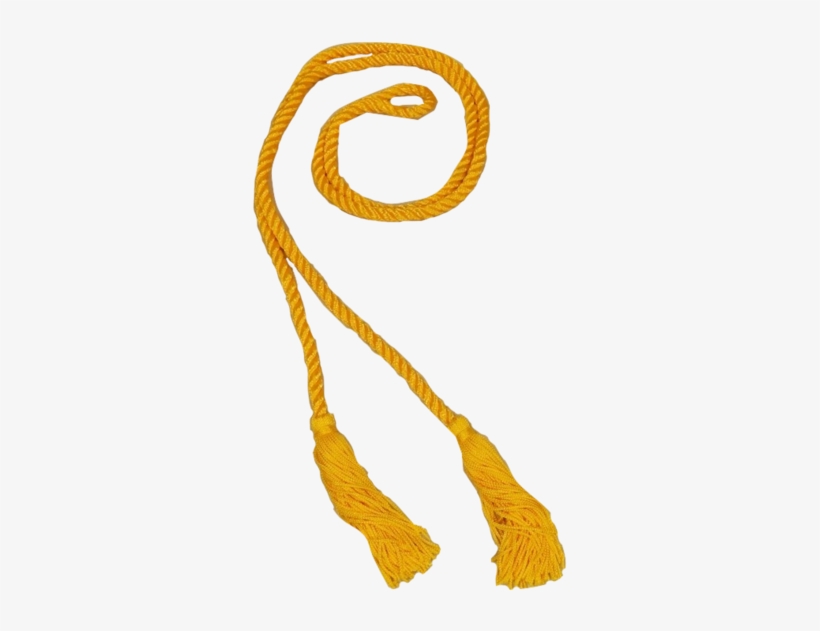 All Graduation Accessories - Graduation Ceremony, transparent png #2934856