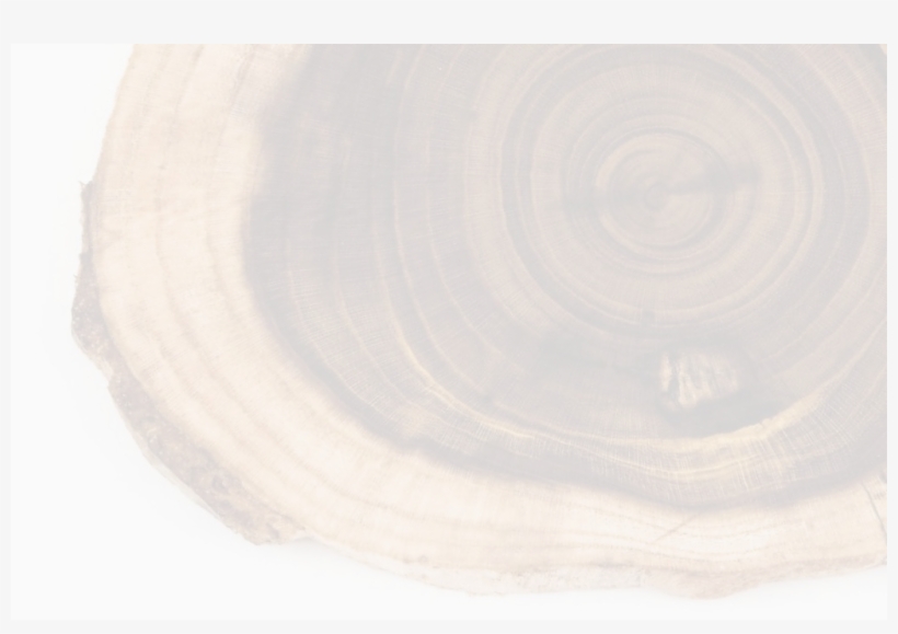 Faded Log - Tree Rings, transparent png #2935115