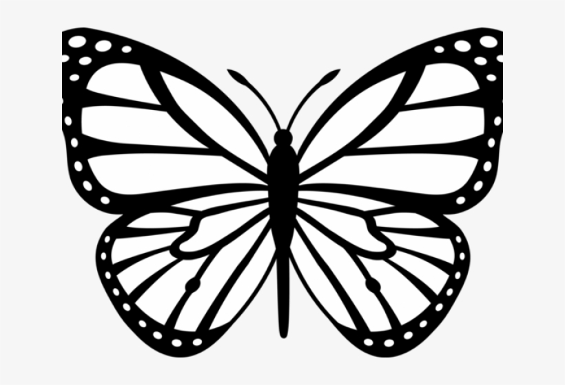 Butterfly Drawings - Google Search - Butterfly Drawing, transparent png #2935758