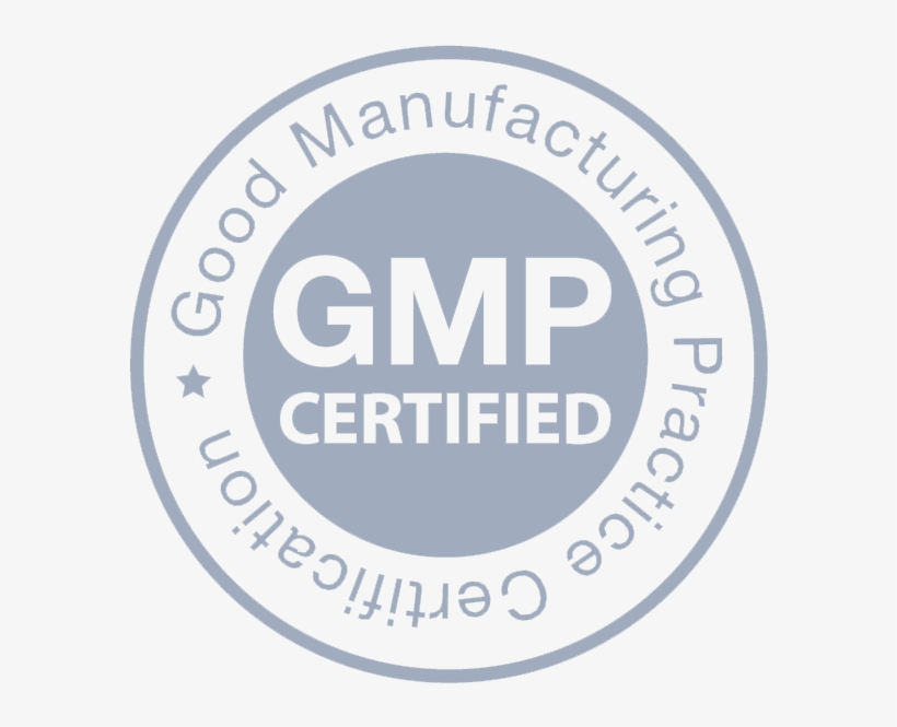 Gmp-logo Faded - Youturn Retinol Serum 2.5% With Vitamin E & Aloe, transparent png #2935863