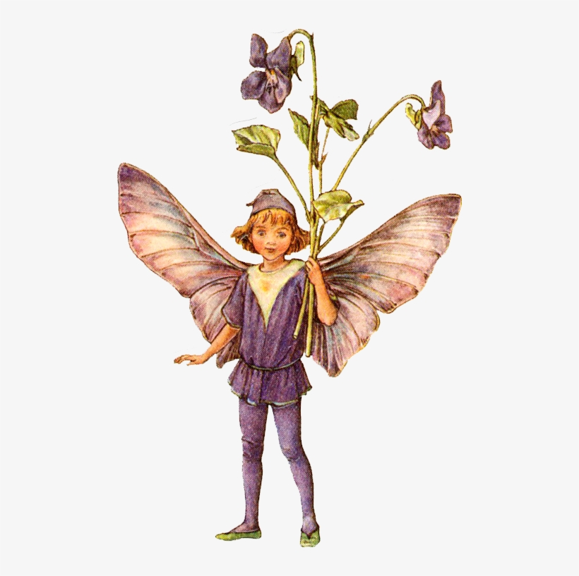 Png Image Information - Flower Fairies One Hundred Postcards By Cicely Mary, transparent png #2936043