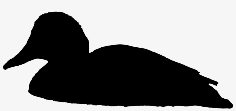 Comments - Swimming Duck Silhouette Png, transparent png #2936368