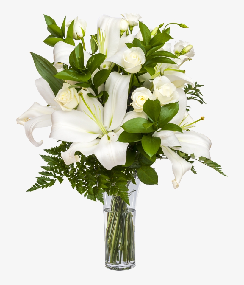 Sonrisas Blancas " El Blanco Es El Símbolo De Pureza, - Person, transparent png #2937239