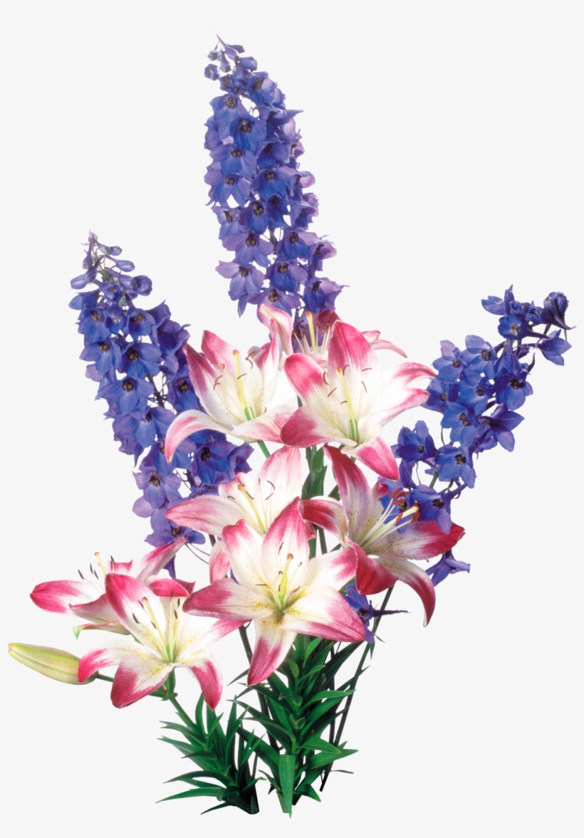 Ramo De Flores Png Productos - Flores Png, transparent png #2937739