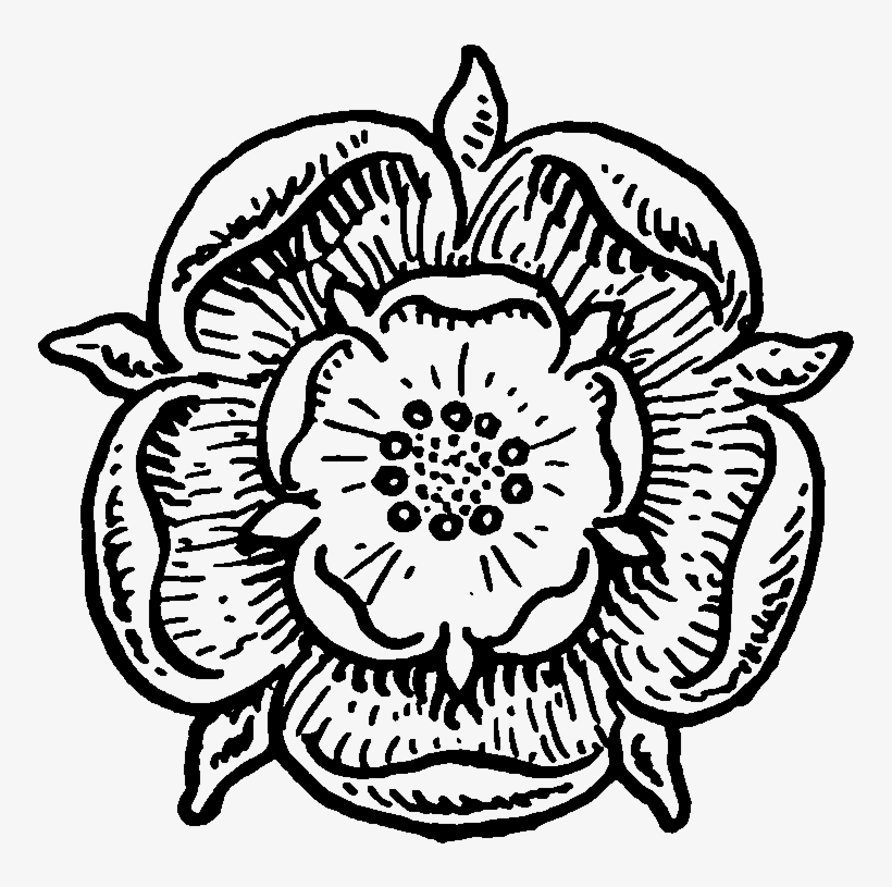 Elower Clipart Medieval - Tudor Rose Woodcut, transparent png #2937967