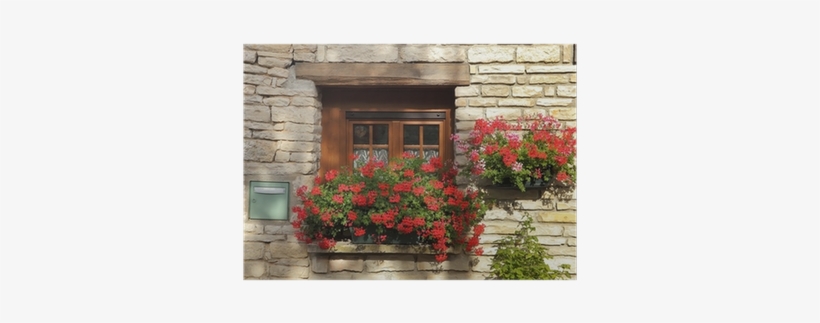 Window Box Flower Arrangement, Burgundy, France Poster - Burgundy, transparent png #2939644