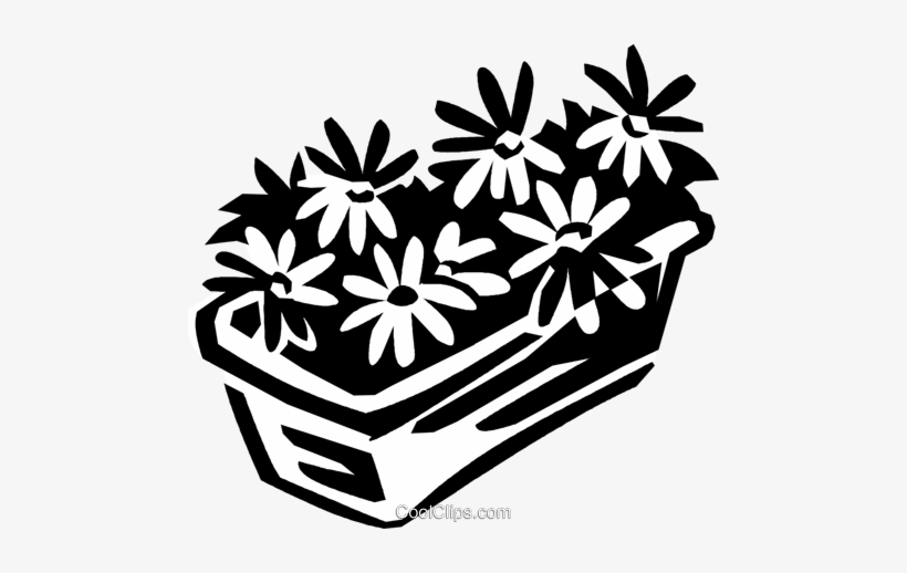 Flowers In A Flower Box - Flower Box Clopart, transparent png #2940433